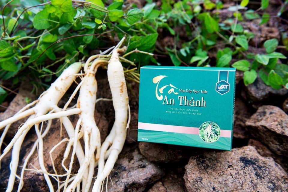 Trà túi lọc Sâm Dây Ngọc Linh An Thành 